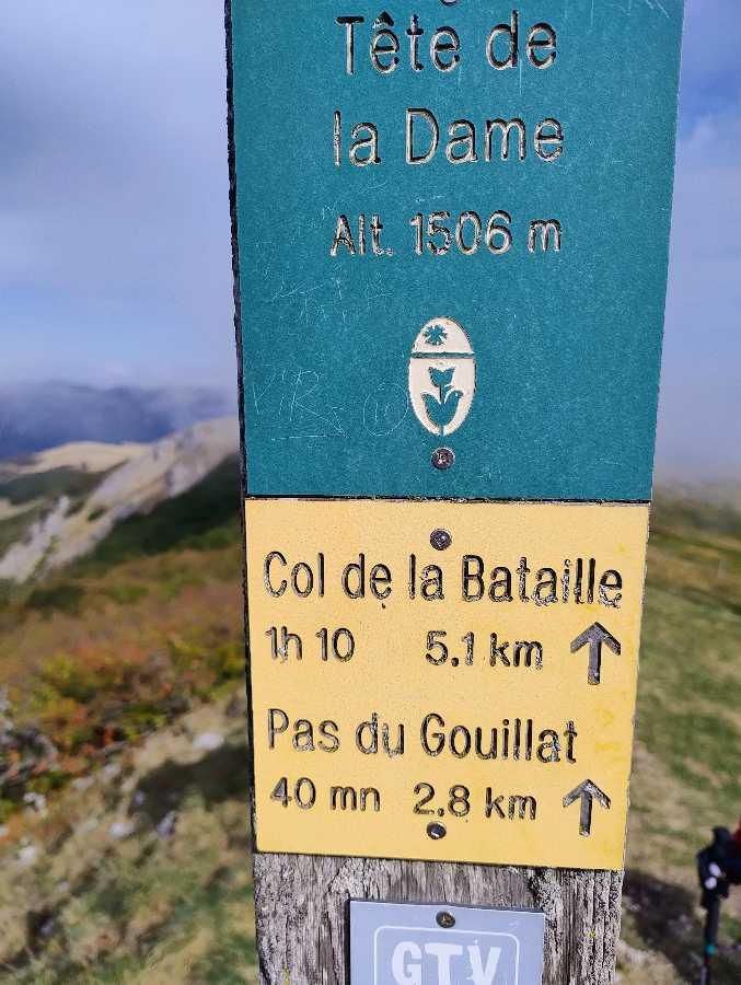 photo absente