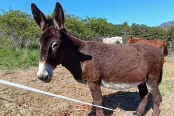 Entête corrompue