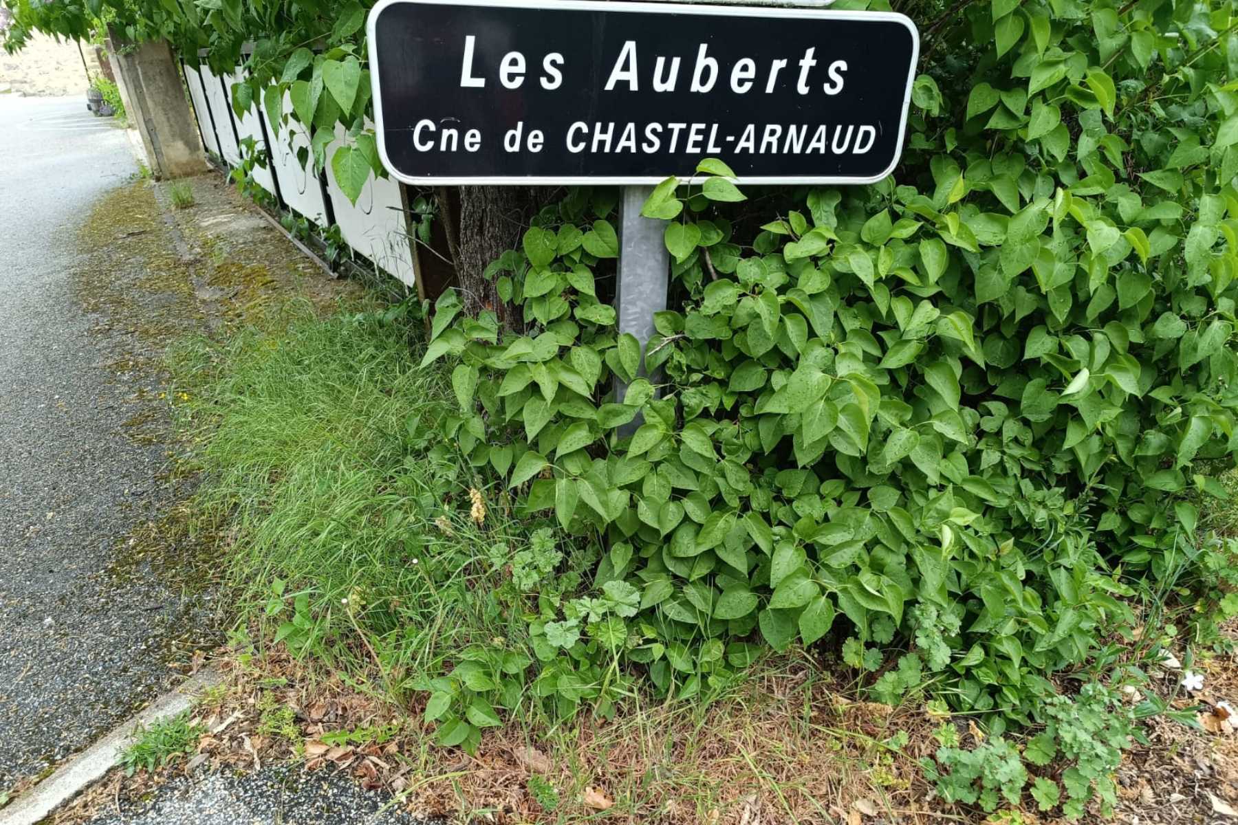 photo absente